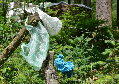Plastic bags in the forest