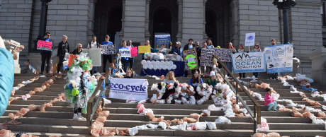 Climate Demonstration