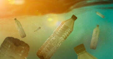 Chasing Arrows – The Truth About Recycling Watch Party Toolkit